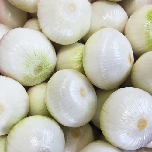 청우 아삭하고 단단한 깐 양파 10kg의 썸네일